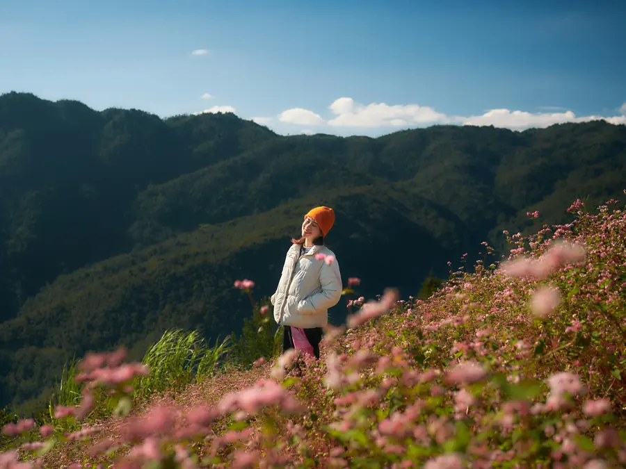 Mulher caminhando num campo de flores rosa diante das montanhas