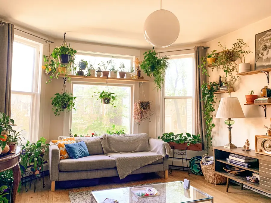 Sala com janela grande, sofá e plantas penduradas