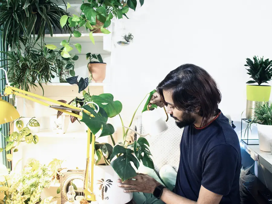 Teo cuidando de uma planta perto da janela