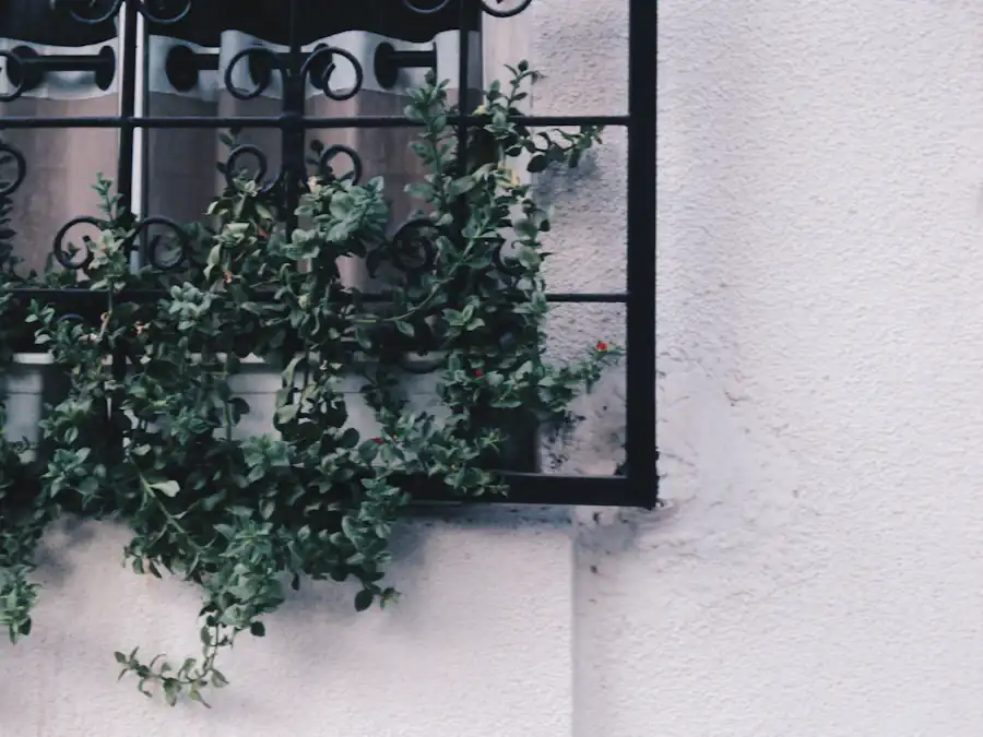 Plantas pendentes numa janela com grade